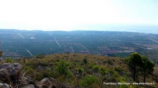 stello marchesa di Cassibile-10-02-2015 19-55-01
